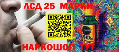 Альфа ПВП Дубна