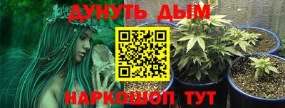 Альфа ПВП Дубна