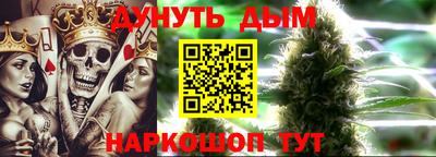 Альфа ПВП Дубна