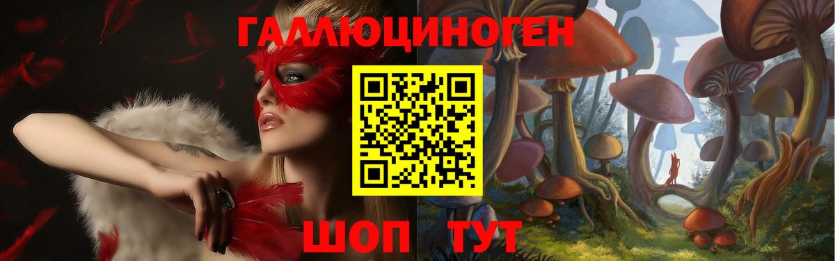 Псилоцибиновые грибы прущие грибы  Вход с VPN  Изобильный 